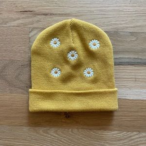 The Great Embroidered Beanie